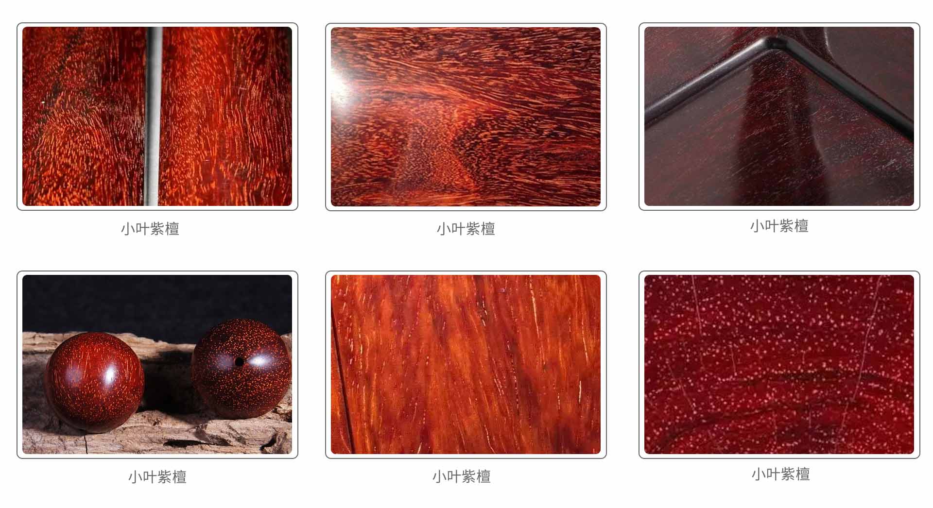 小叶紫檀 小叶紫檀